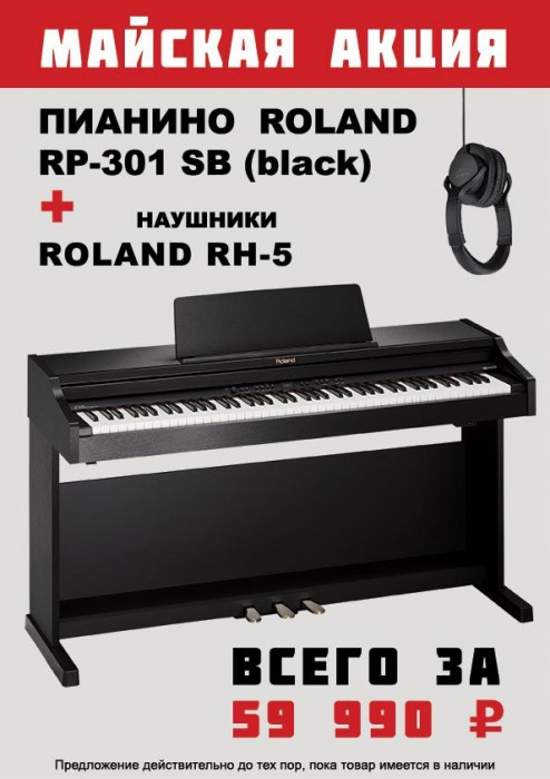 Roland RP-301 SB