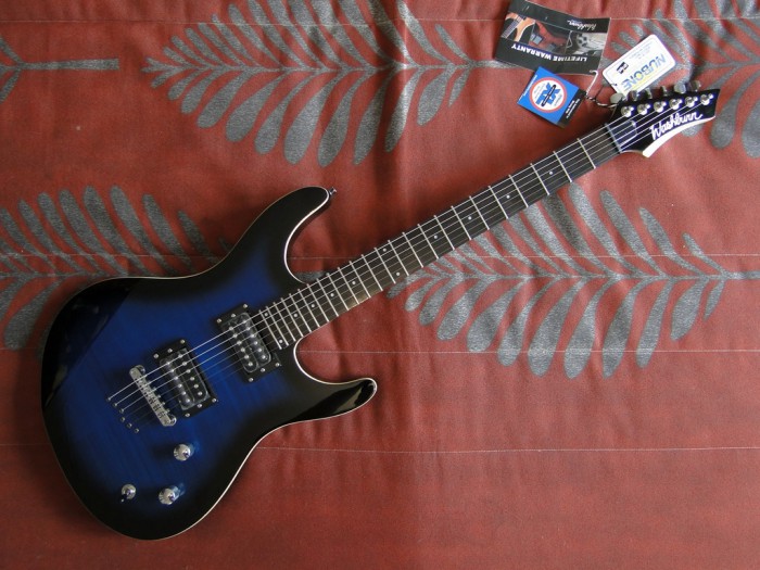 WASHBURN RX22F-BLB